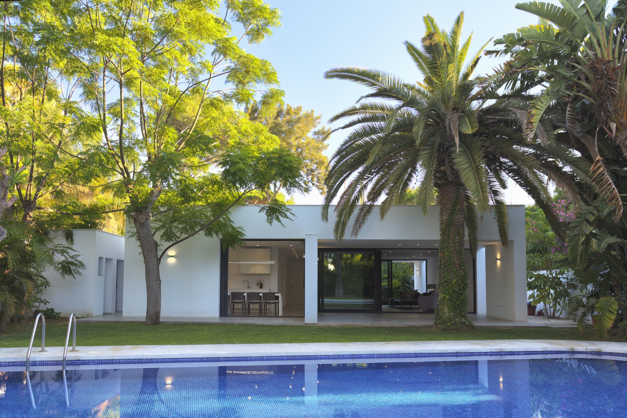 11 Aguacatero zona trasera3